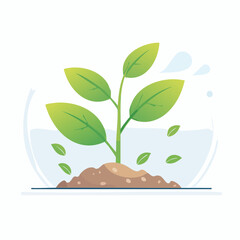 Growing Plant Illustration In A Glass Container