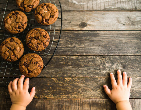 Chocolate chip cookie cooling rack wooden table baby hand snack homemade dessert sweet treat baked goods child rustic surface fresh cookies chocolate chips toddler food kitchen close up delicious - Powered by Adobe