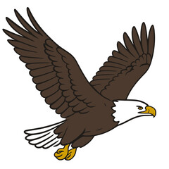 Naklejka premium On a sunny autumn day, a white-tailed eagle hunts for fish in its natural habitat by the river