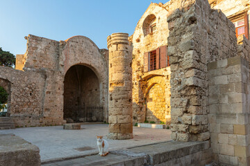 Sunrise view of the ruins of Saint John Church with stone columns and a cat in the old town of Rhodes city, Greece