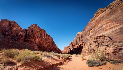 Fototapeta premium a narrow desert canyon with towering red rock walls and sparse vegetation stretches under a clear blue sky