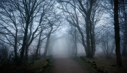 Fototapeta premium eerie woodland scene showcases a path disappearing into dense fog with bare dark trees silhouetted