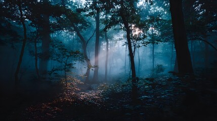 Obraz premium A serene, mystical forest shrouded in a bluish-gray mist, bathed in ethereal sunlight filtering through the dense canopy.