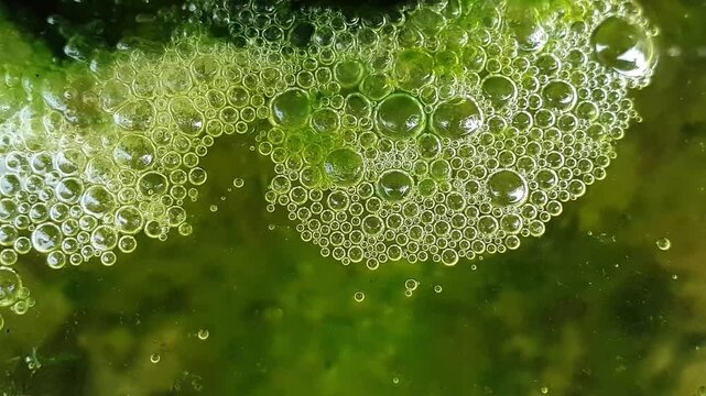 Close-up of vibrant green liquid with numerous effervescent bubbles, creating an abstract and dynamic texture.