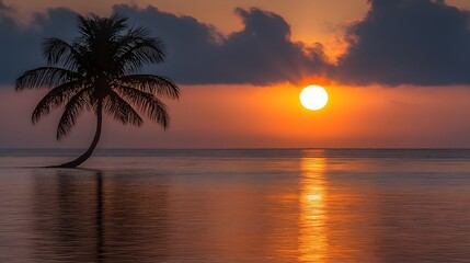 Stunning Sunset Silhouette Palm Tree Ocean Scene