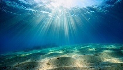Fototapeta premium underwater sunlight rays on ocean floor