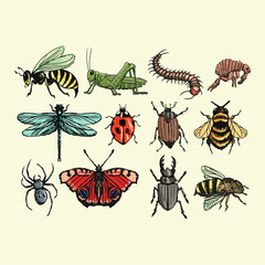Cute Cartoon Bees Ladybugs and Spiders Vector Collection