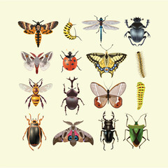 Cute Cartoon Bees Ladybugs and Spiders Vector Collection