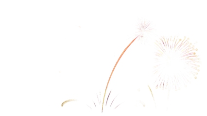 Festive Fireworks Burst Against a Dark Night Sky