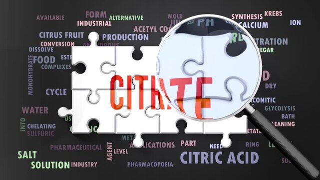Citrate under magnifying glass, being researched, studied and examined. Most important subjects and ideas closely related to citrate presented as a word cloud. Complexity of citrate. Can be looped.
