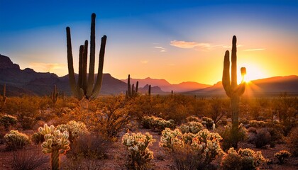 wild west texas desert landscape with sunset with mountains and cacti