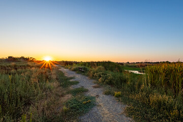 Sunstar Over Nature Trail at Sunset