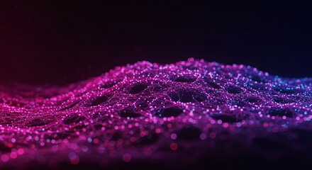 a black background with pink and blue lights