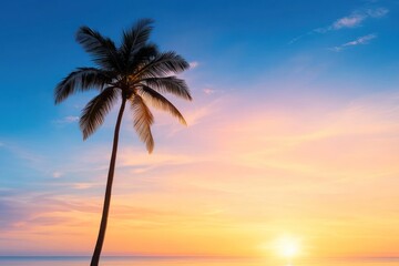 Tropical Sunset Silhouette: Palm Tree Against a Vibrant Sky