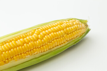 とうもろこし　白バック
