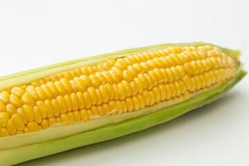 とうもろこし　白バック