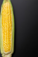 とうもろこし　黒背景