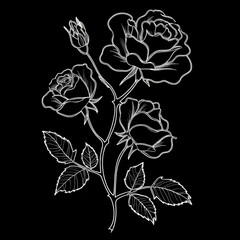 A black and white drawing of three roses