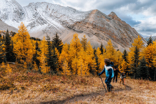 Mother and children hiking in the mountains among beautiful larch trees in Autumn