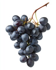 Fototapeta premium A cluster of dark purple grapes hangs from its stem against a plain white background.