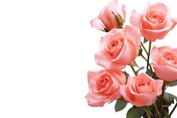 Naklejka premium Delicate Pink Roses Bouquet on White Background, Floral Arrangement, Romantic Gift