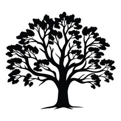 Monochrome silhouette of a large tree with full crown and sturdy trunk