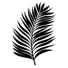 Obraz premium Elegant silhouette of a tropical palm frond against a clean white background