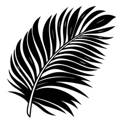 Fototapeta premium Simple Monochrome Palm Frond Illustration on White Background for Graphic Design
