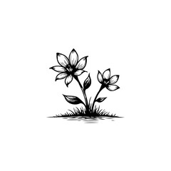 Delicate blossom illustration on white background featuring elegant petals and subtle foliage