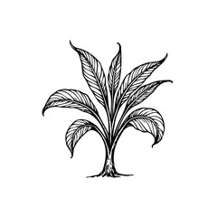 Delicate foliage artwork conveying a sense of botanical elegance in a natural simplicity and fresh