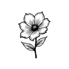 Obraz premium Detailed floral illustration offering timeless botanical beauty with delicate lines and graceful