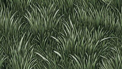 Green grass isolated on white