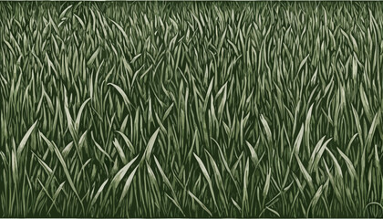 Green grass isolated on white
