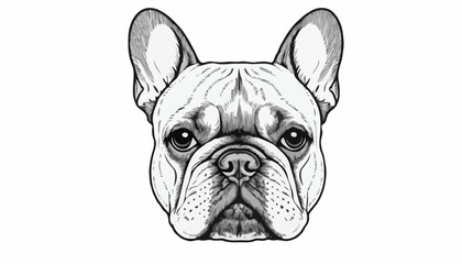 French Bulldog head. Dog