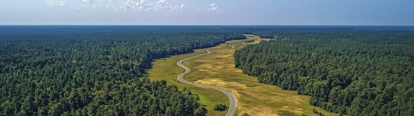 A winding road weaves through a dense, green forest under a bright blue sky.