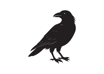 Raven Bird Silhouette Flying Vector Graphic Illustration.
