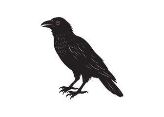 Raven Silhouette Vector Illustration Isolated on White Background.