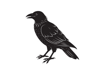 Obraz premium Raven Bird Silhouette Flying Vector Graphic Illustration.