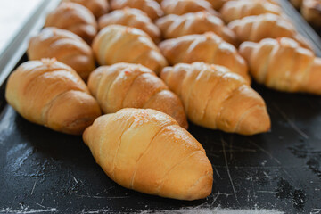 Fresh golden croissants or shio pan with flaky pastry layers arranged on dark scratched surface, showing buttery texture and perfect bakery quality for breakfast or brunch.