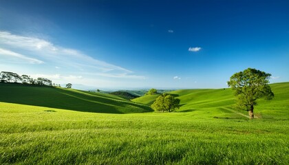 green landscape featuring lush trees rolling hills and a clear blue sky environment trees