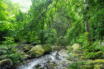 Obraz premium SENDERISMO