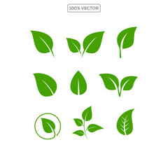 Leaf icons set. Green leaves vector collection. Ecology, environment, and nature symbol. Bio, organic, and vegan sign illustration
