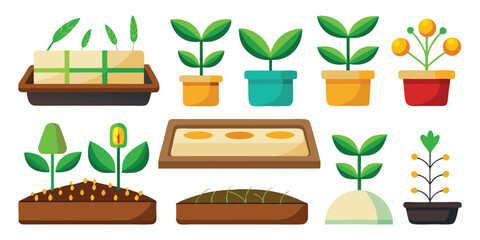 Collection of flat design potted plants and seedlings in various stages of growth sprout