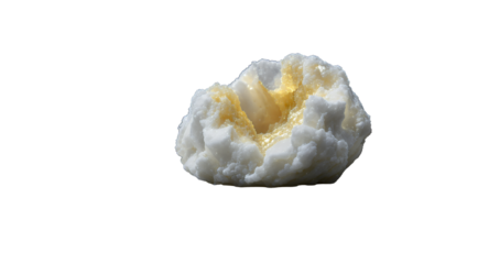 A unique close-up of a textured object with a striking contrast