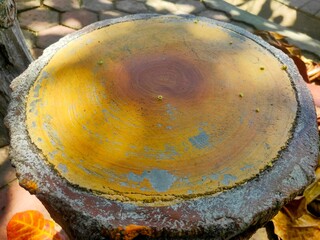 a round garden bench made of cement.