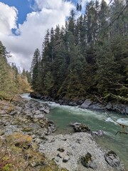 Scenic River Flowing Through Lush Forest Landscape with Rocky Banks and Sky