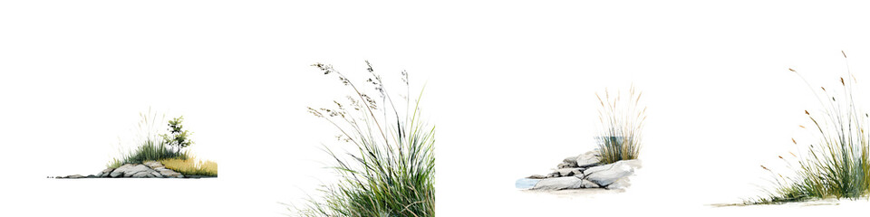 Grass and Rock Set: Natural Elements for Landscape Design and Garden Illustration.