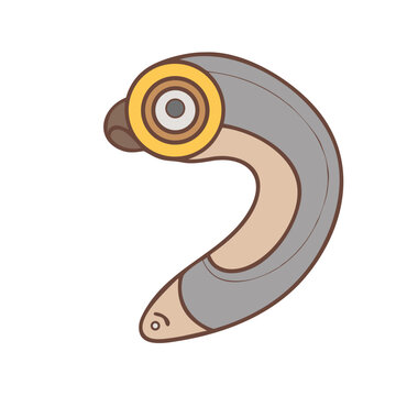 Five detailed close-up images of lamprey anatomy and features