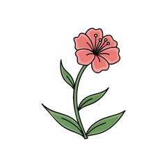 Graceful Pink Flower Illustration. A charming stylized blossom with vibrant rosy petals and verdant foliage against a stark dark setting. This lovely botanical art piece symbolizes natural beauty,.