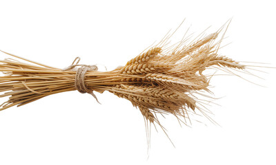 Wheat Stalks Bouquet on White Fabric